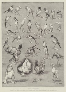 Nature&39;s Fitful Moments 作： Louis Wain